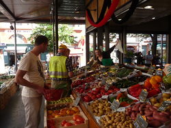 Illustration de la galerie