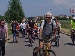 Illustration de la galerie