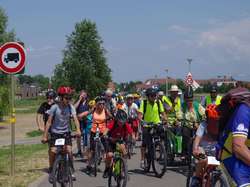 Illustration de la galerie