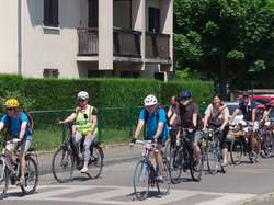 Illustration de la galerie