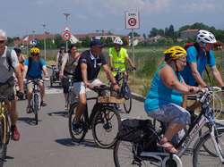 Illustration de la galerie