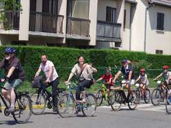 Illustration de la galerie