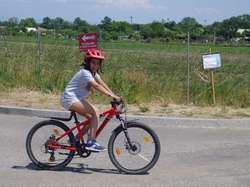 Illustration de la galerie