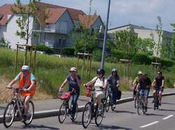 Illustration de la galerie