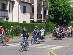 Illustration de la galerie