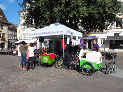 Illustration de la galerie