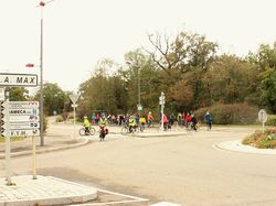 Illustration de la galerie